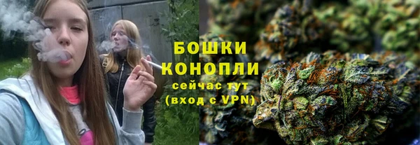 кокс Корсаков